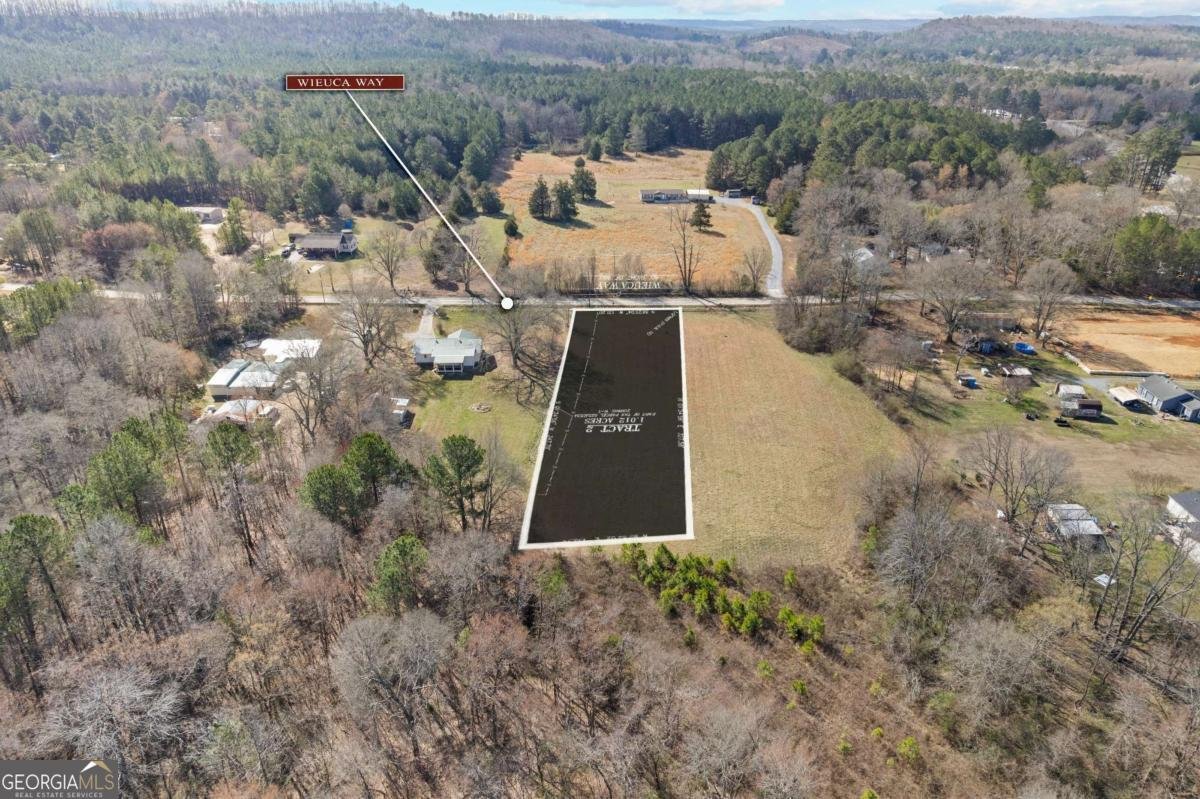 TRACT2 WIEUCA Way Cedartown - Photo 37