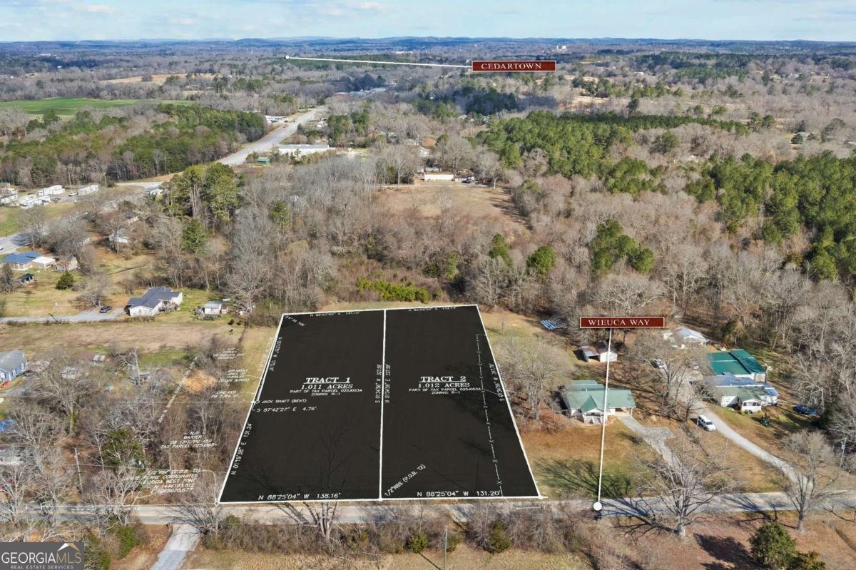 TRACT2 WIEUCA Way Cedartown - Photo 38