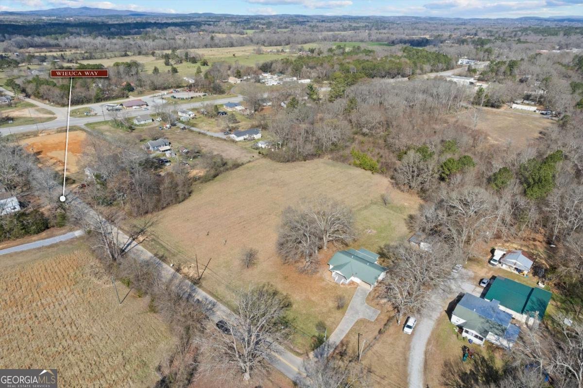 TRACT2 WIEUCA Way Cedartown - Photo 46