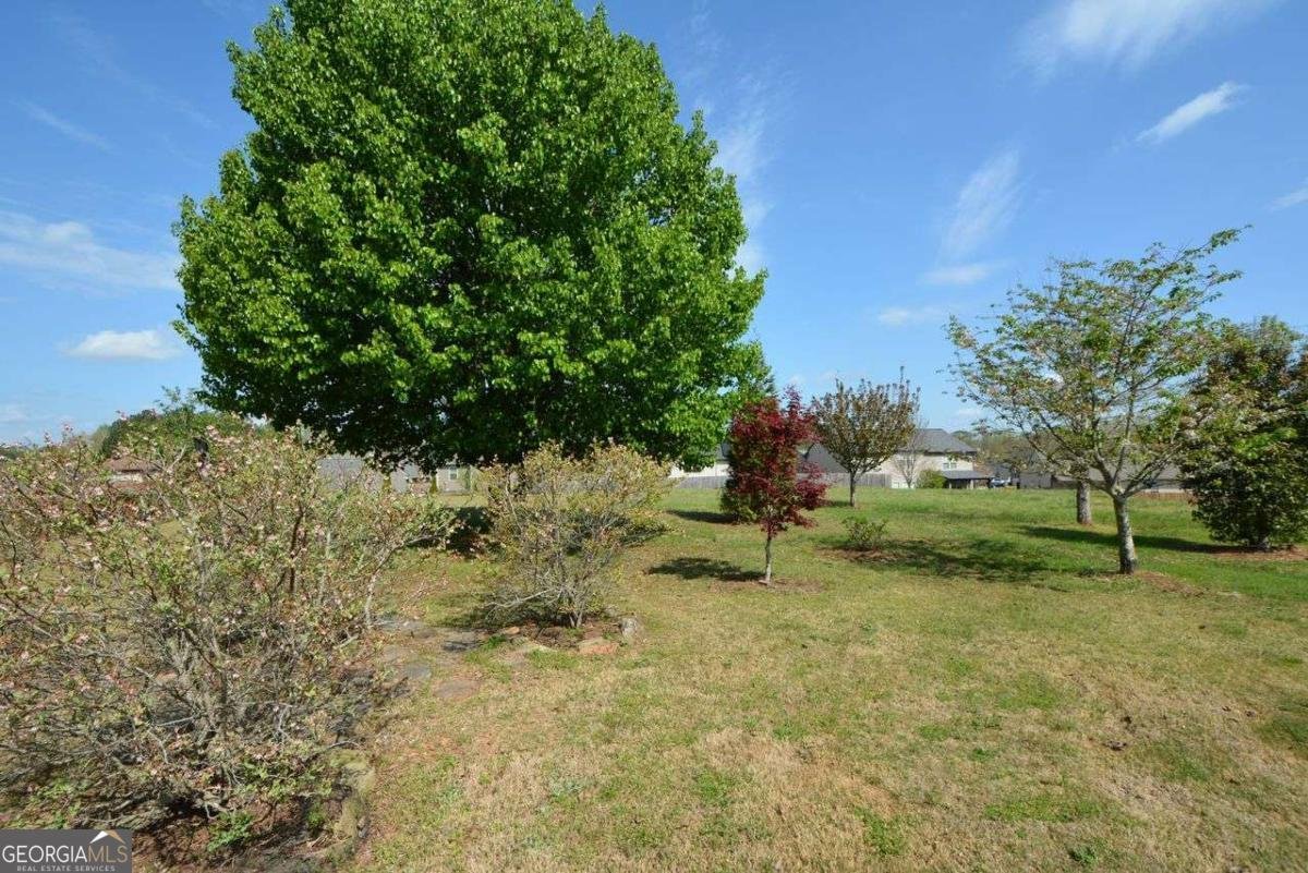 4475 Orchard View Way Cumming - Photo 48