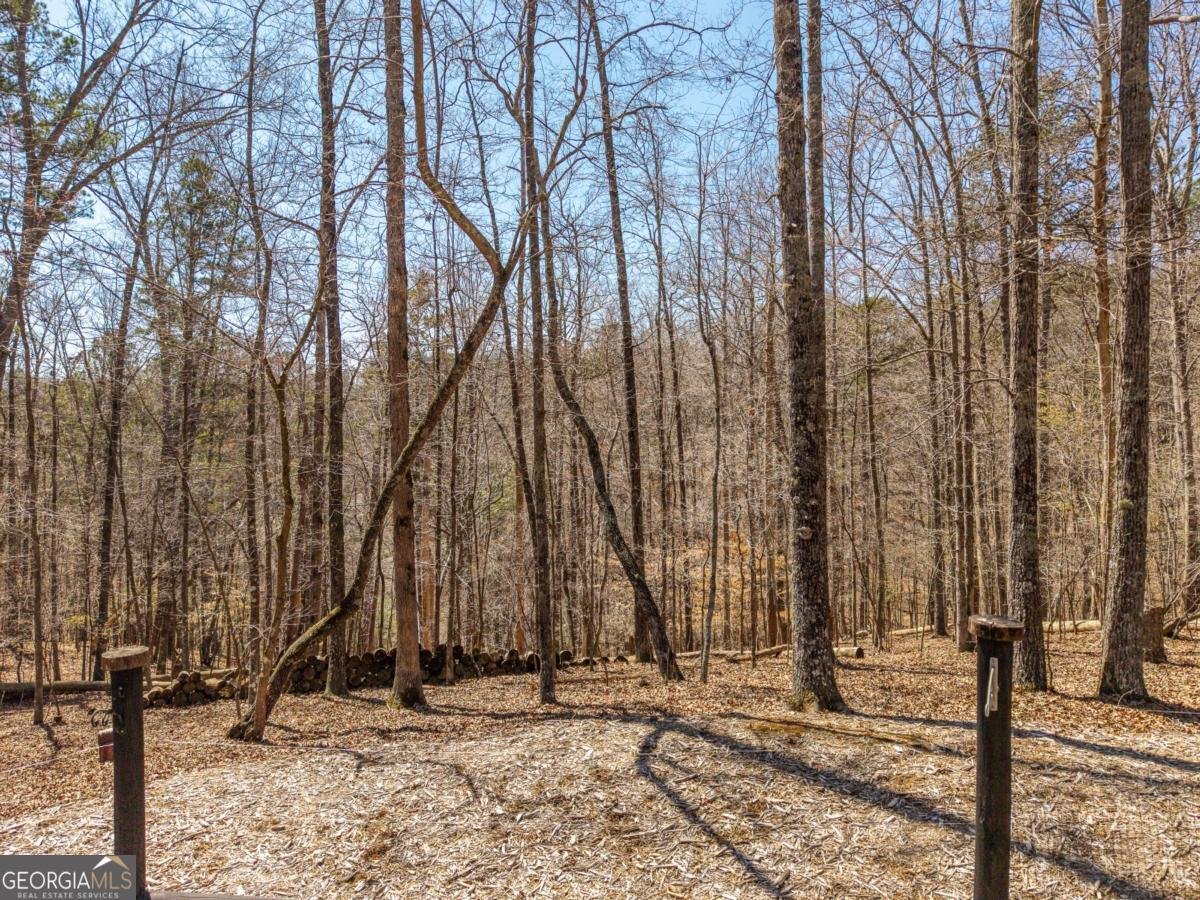 106 Lemmon Drive Ellijay - Photo 56