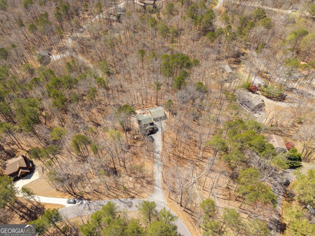 106 Lemmon Drive Ellijay - Photo 8