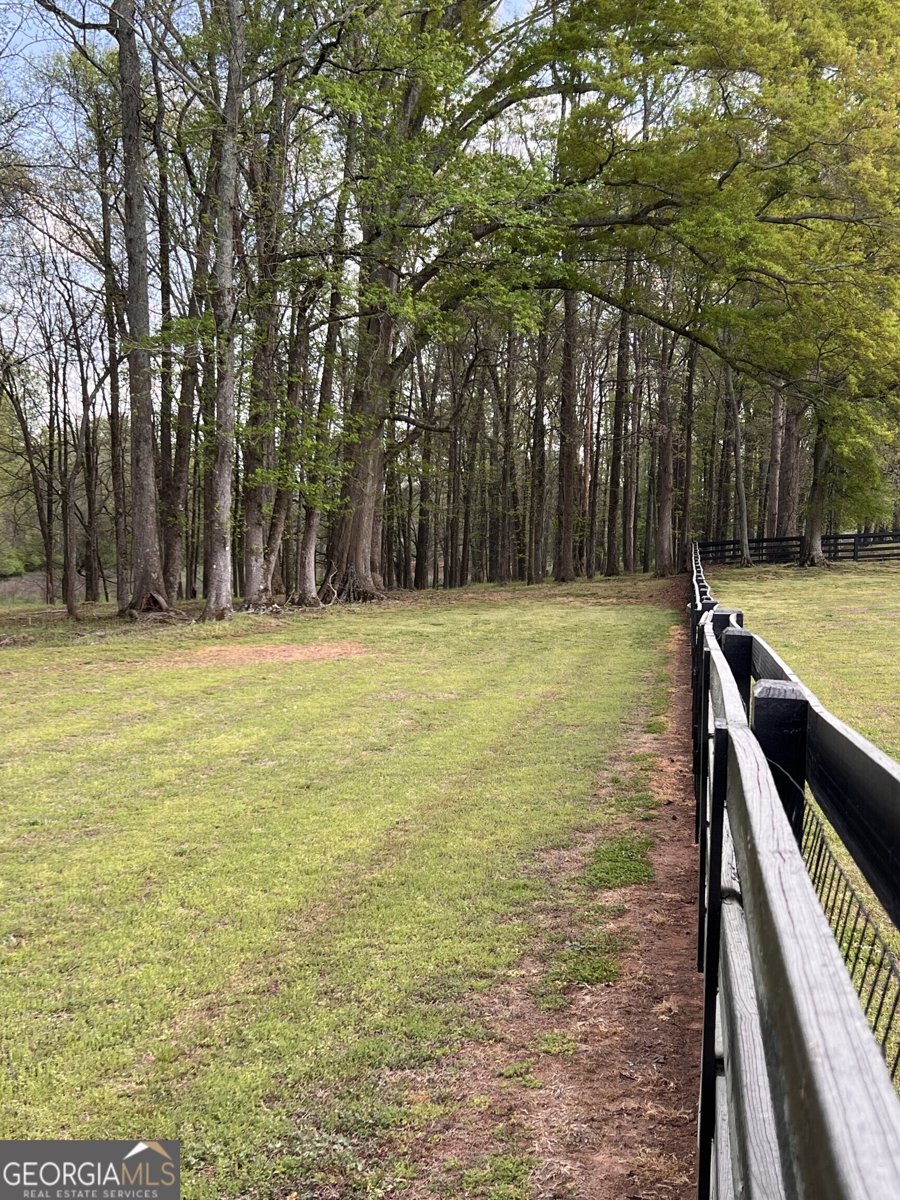 3386 Chandler Road Good Hope - Photo 88