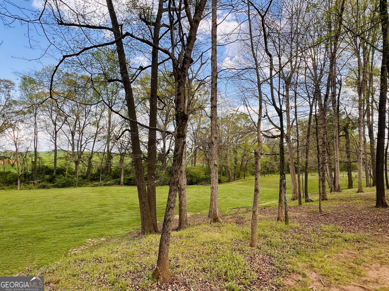 3386 Chandler Road Good Hope - Photo 90