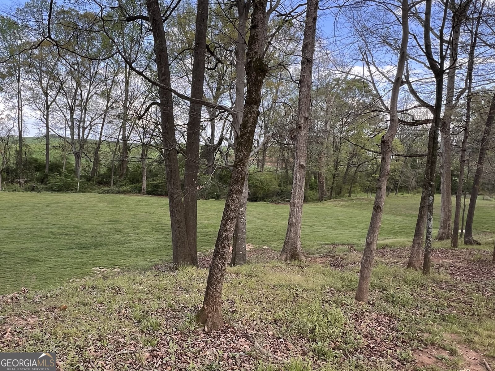 3386 Chandler Road Good Hope - Photo 91