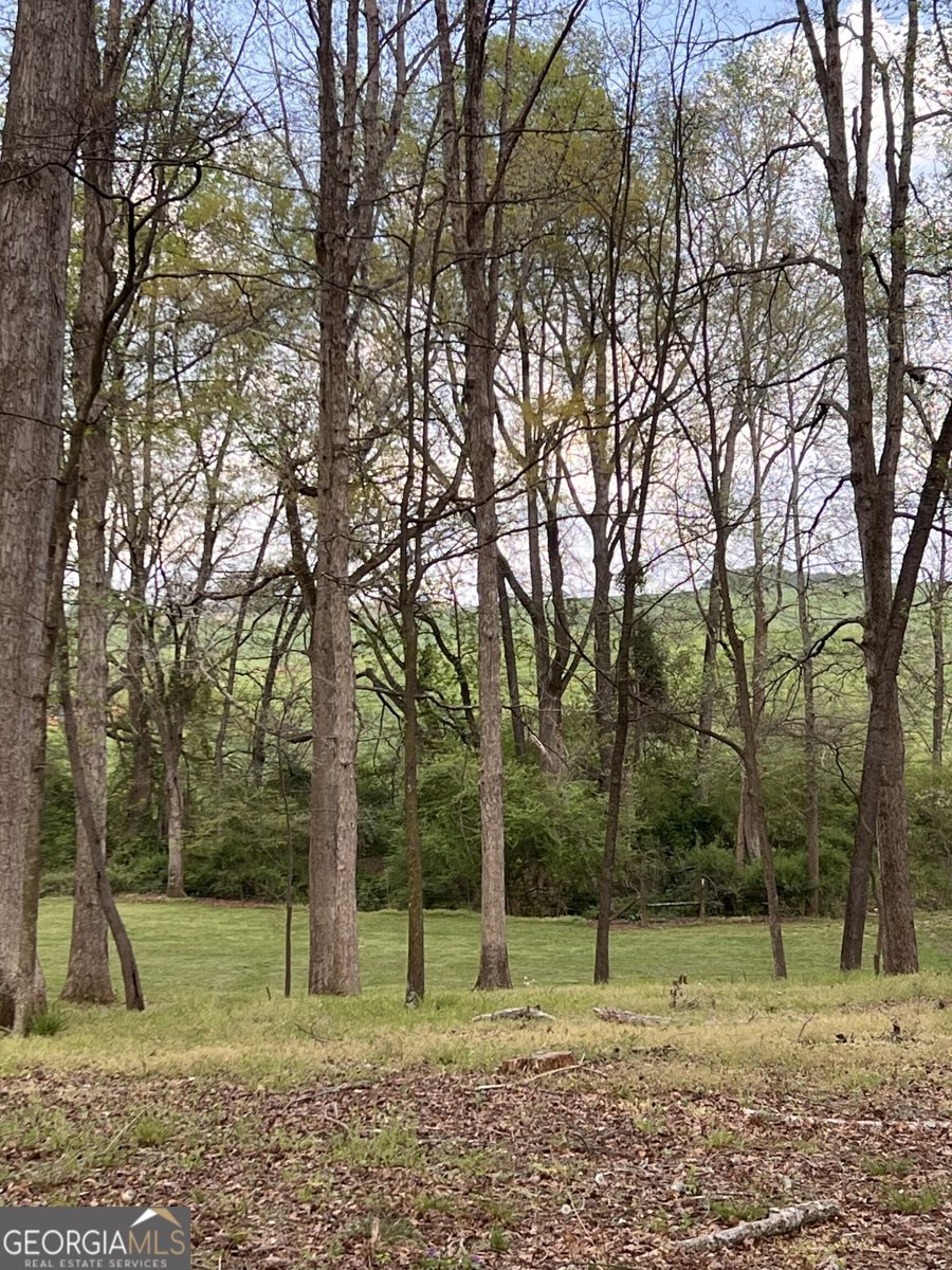 3386 Chandler Road Good Hope - Photo 92