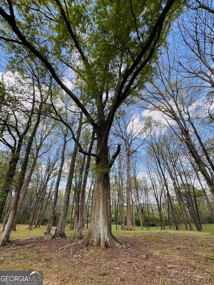 3386 Chandler Road Good Hope - Photo 93