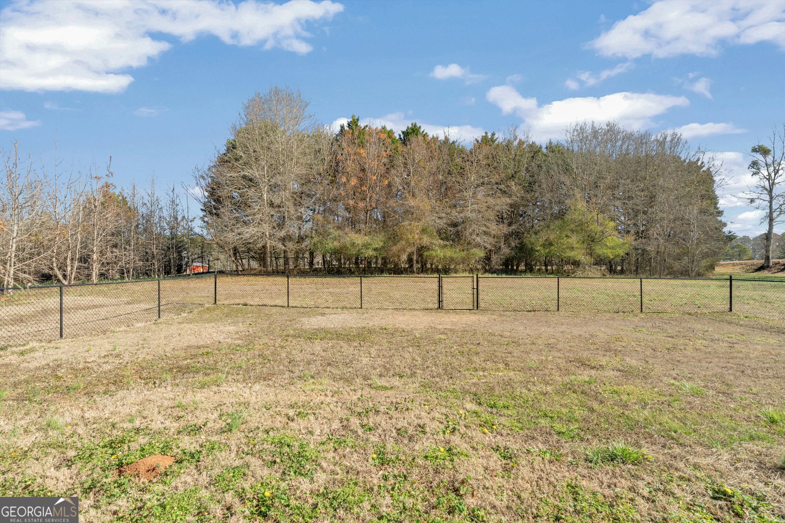 201 Poppyfield Farm Drive Good Hope - Photo 60