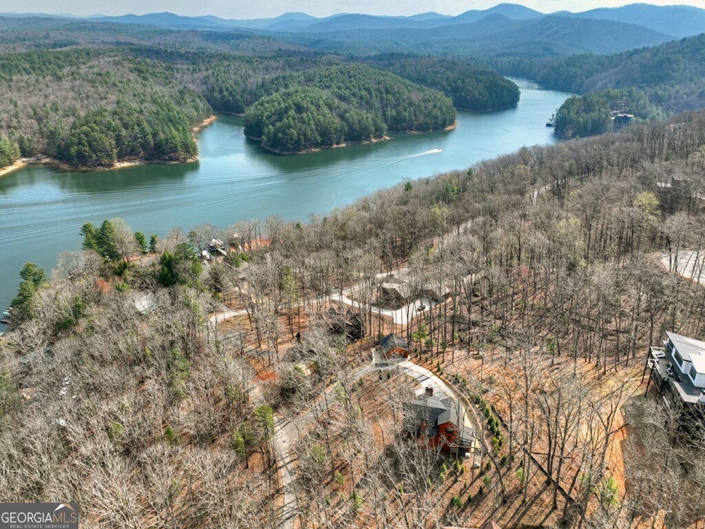 1601 Shady Falls Road Blue Ridge - Photo 23