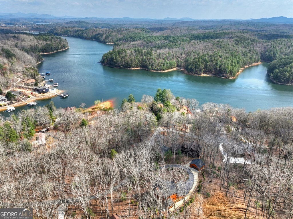 1601 Shady Falls Road Blue Ridge - Photo 36