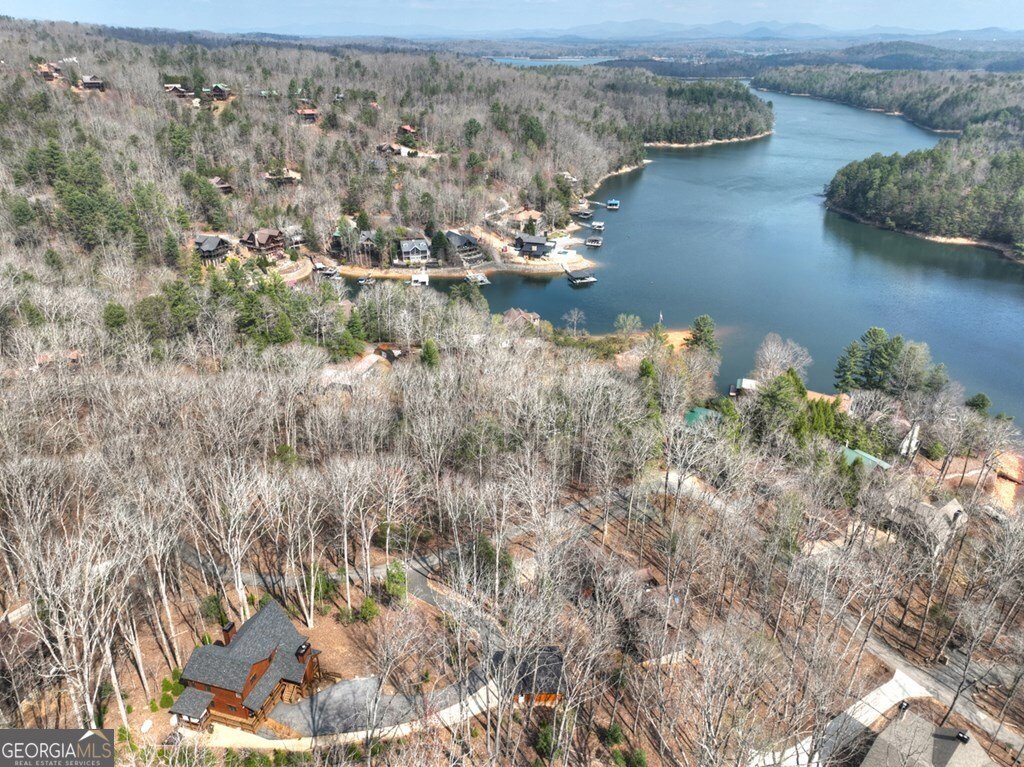 1601 Shady Falls Road Blue Ridge - Photo 39