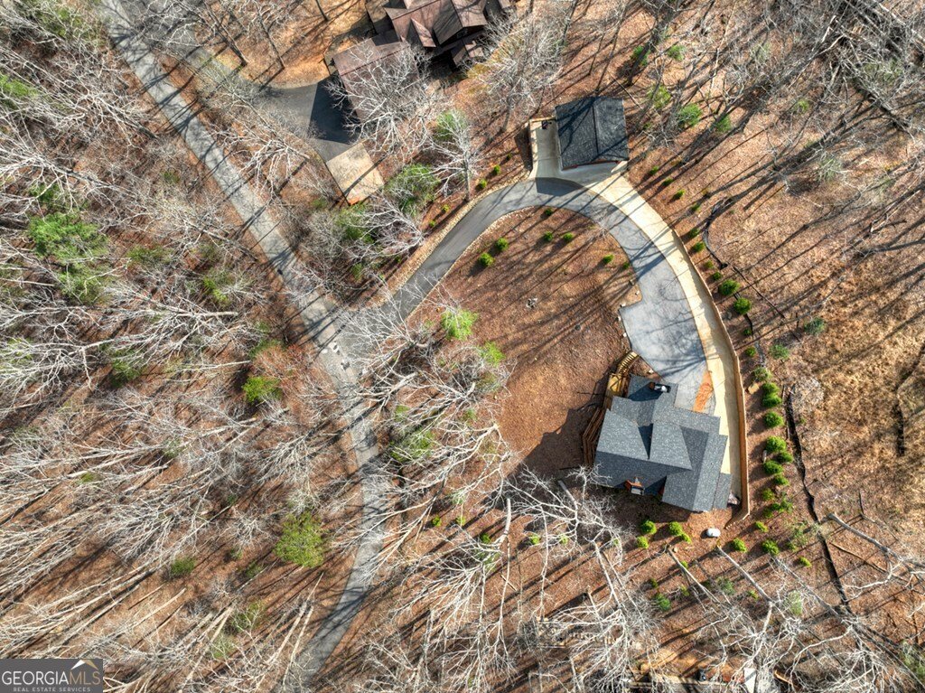 1601 Shady Falls Road Blue Ridge - Photo 42