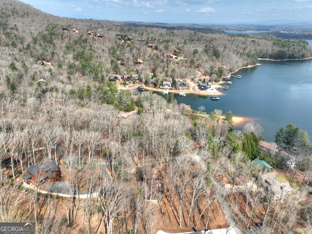 1601 Shady Falls Road Blue Ridge - Photo 45