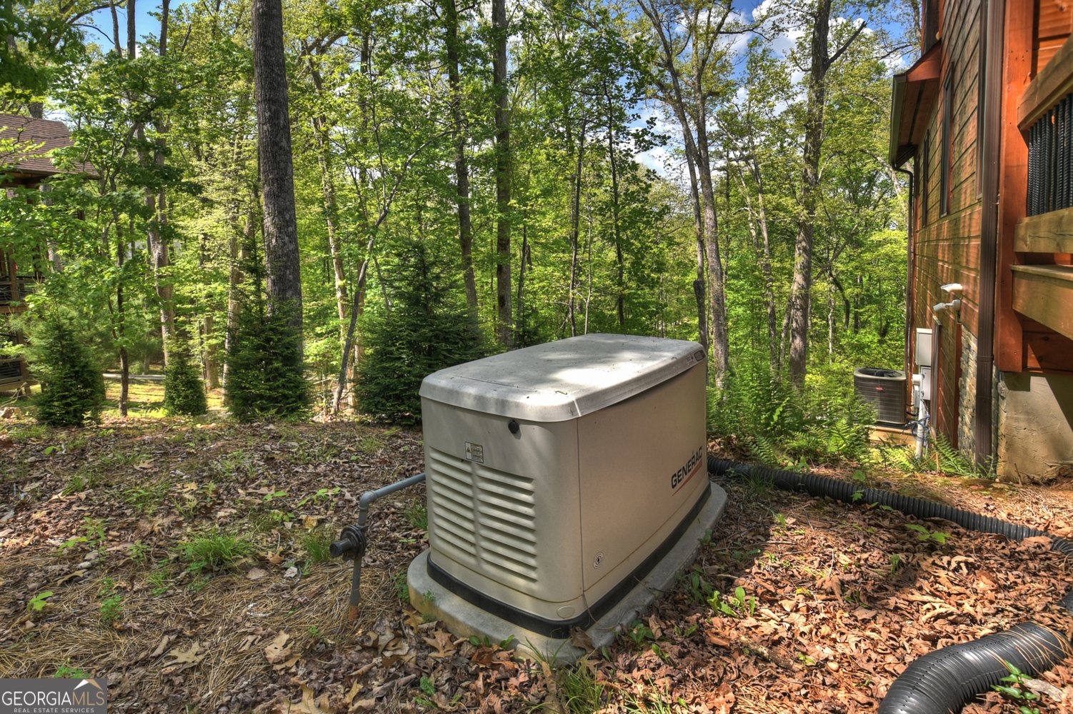 1601 Shady Falls Road Blue Ridge - Photo 74