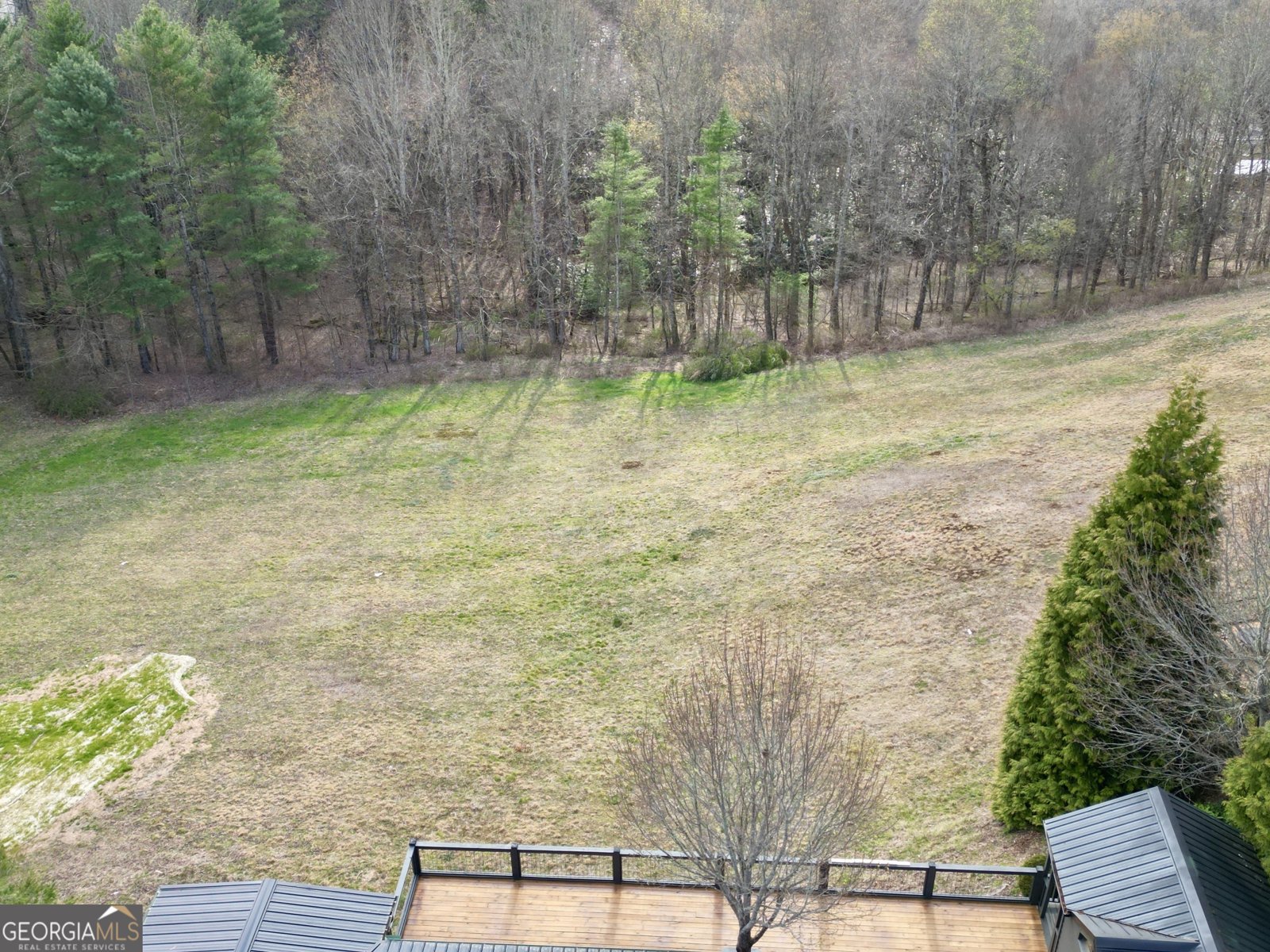 162 Dryman Ridge Road Scaly Mountain - Photo 12