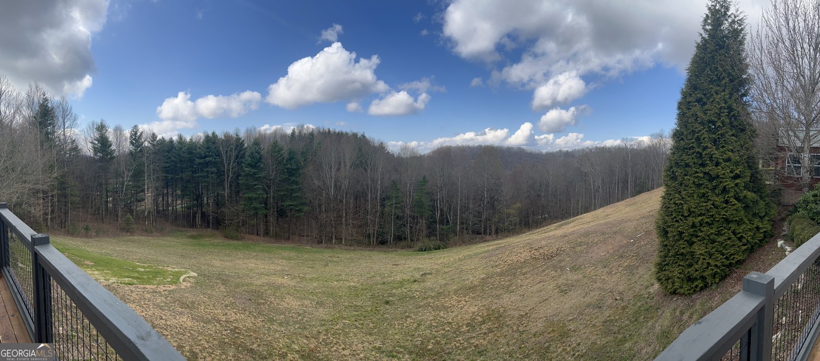 162 Dryman Ridge Road Scaly Mountain - Photo 7