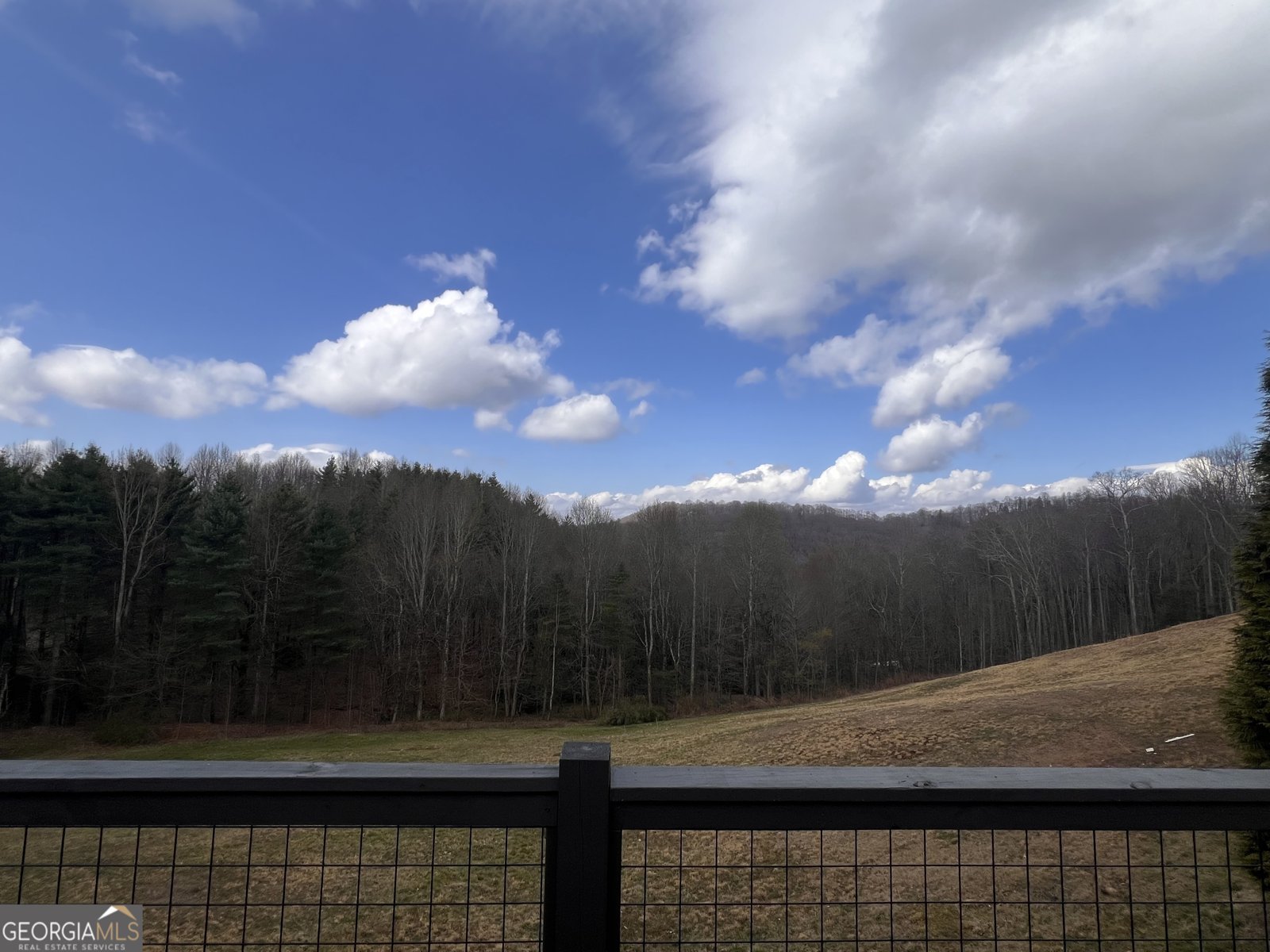 162 Dryman Ridge Road Scaly Mountain - Photo 8