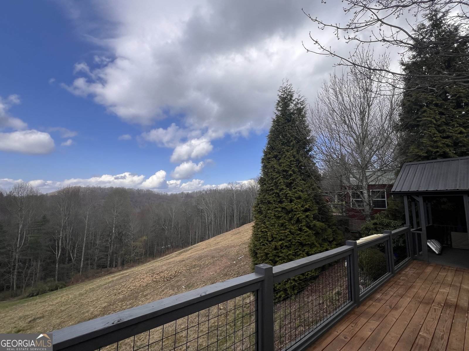 162 Dryman Ridge Road Scaly Mountain - Photo 9