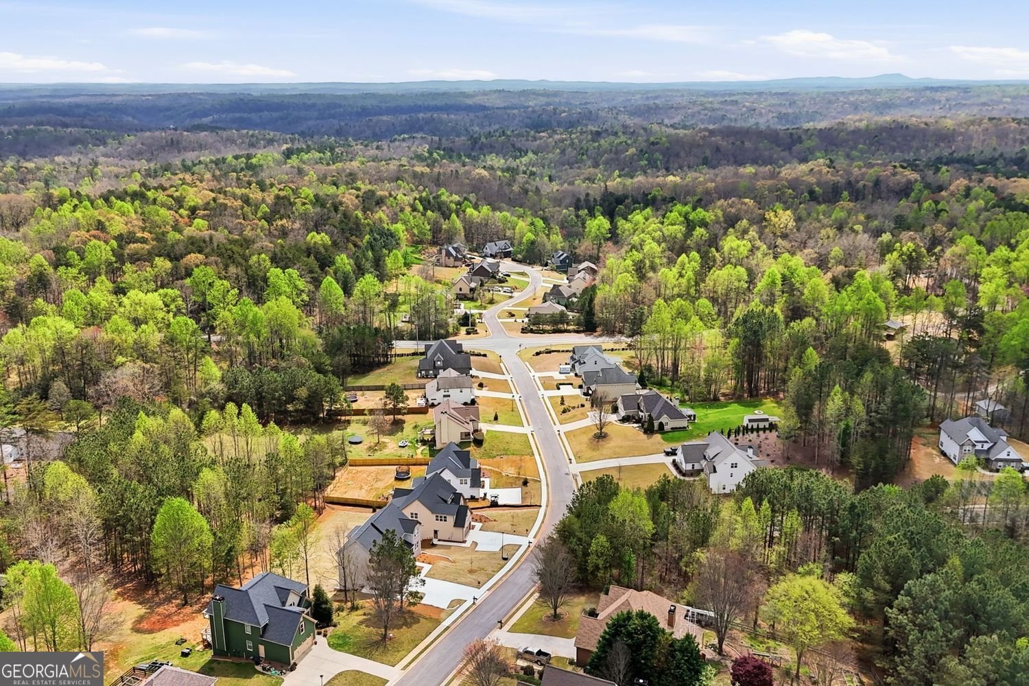 114 Morgan Ln Dawsonville - Photo 62