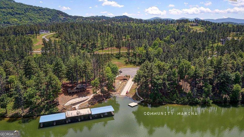 1309 Ridge Pointe Way Blairsville - Photo 74