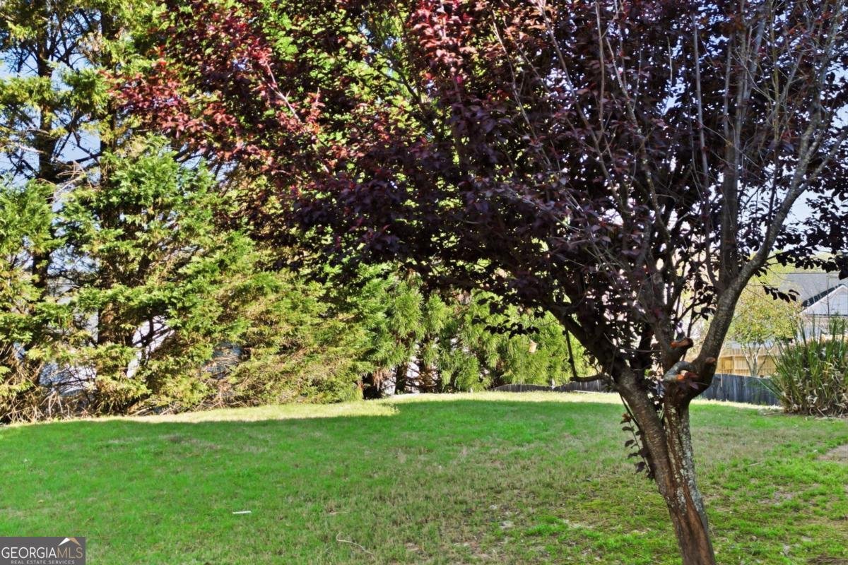 407 Redwood Trail Canton - Photo 26