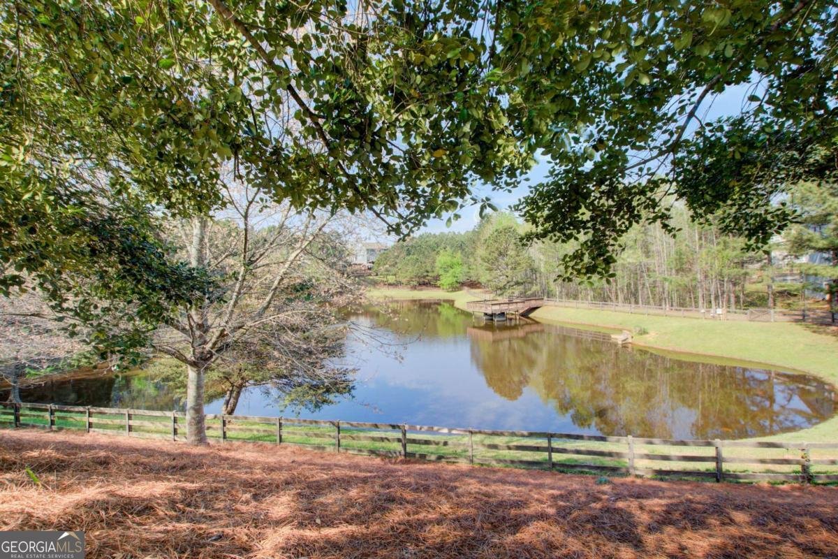 3151 Founders Way Douglasville - Photo 46