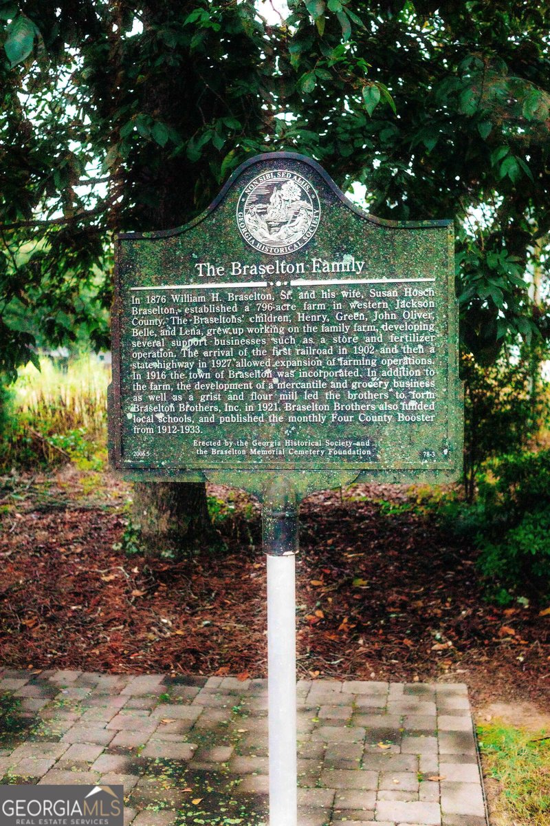 532 Winding Rose Drive Hoschton - Photo 136