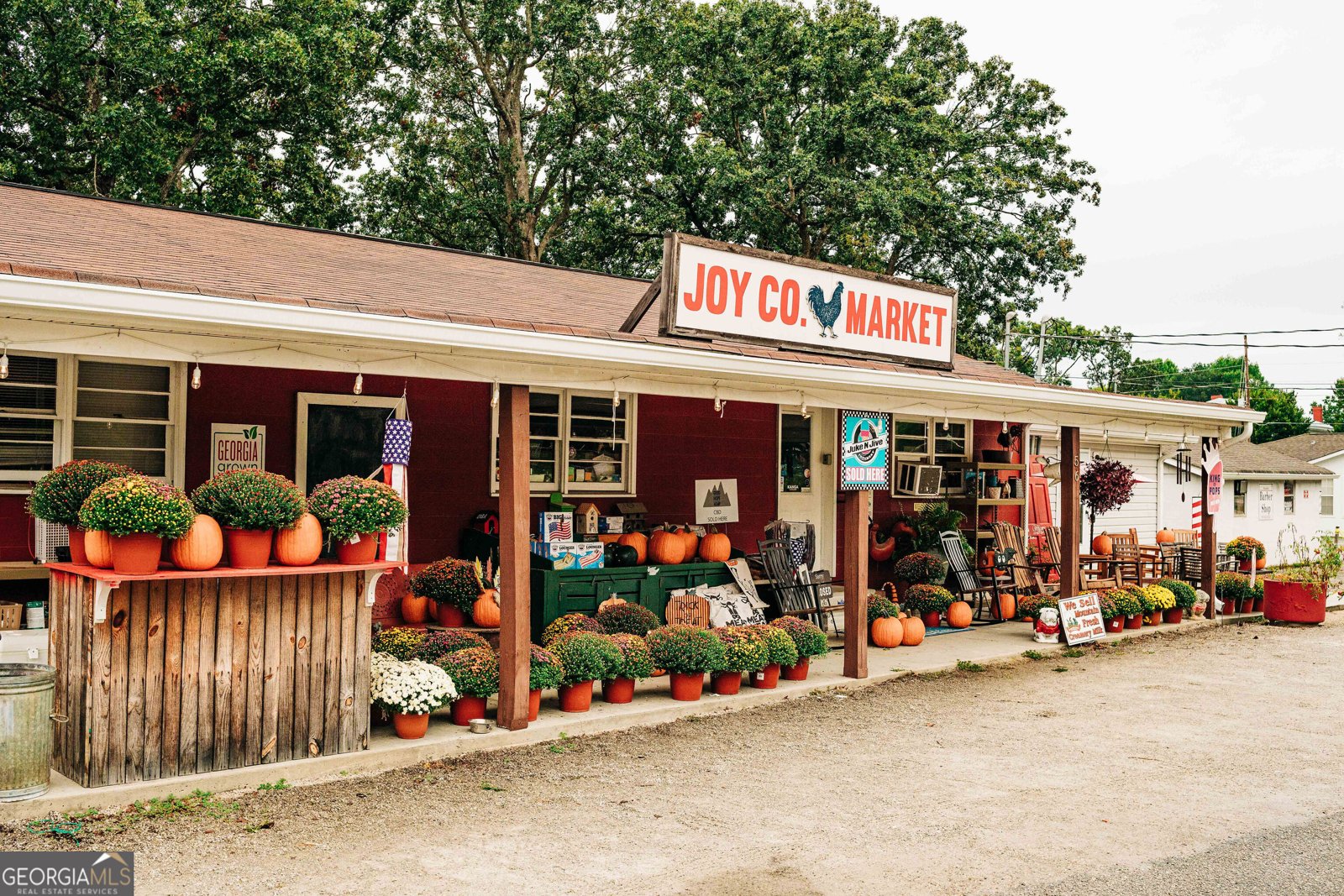 532 Winding Rose Drive Hoschton - Photo 84