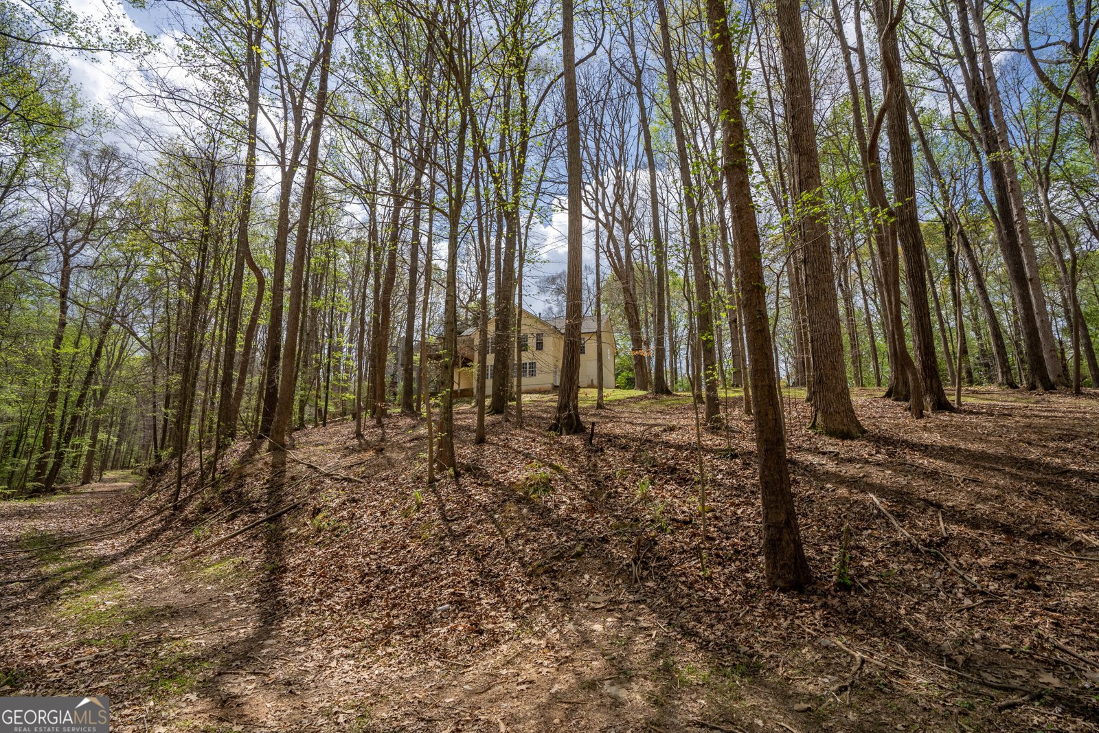 3724 Lexington Court Gainesville - Photo 47