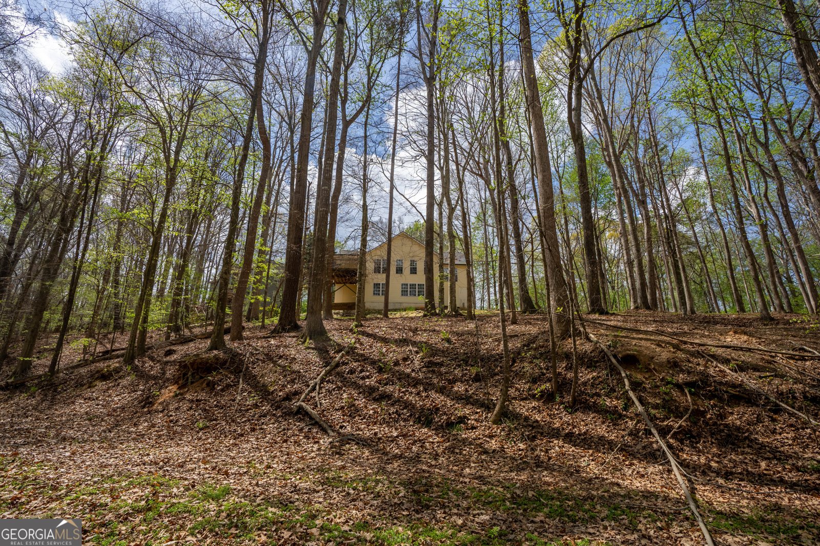 3724 Lexington Court Gainesville - Photo 49
