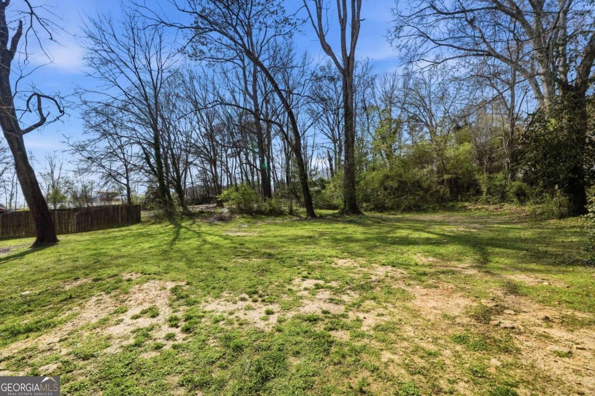 235 Old Canton Road Ball Ground - Photo 74