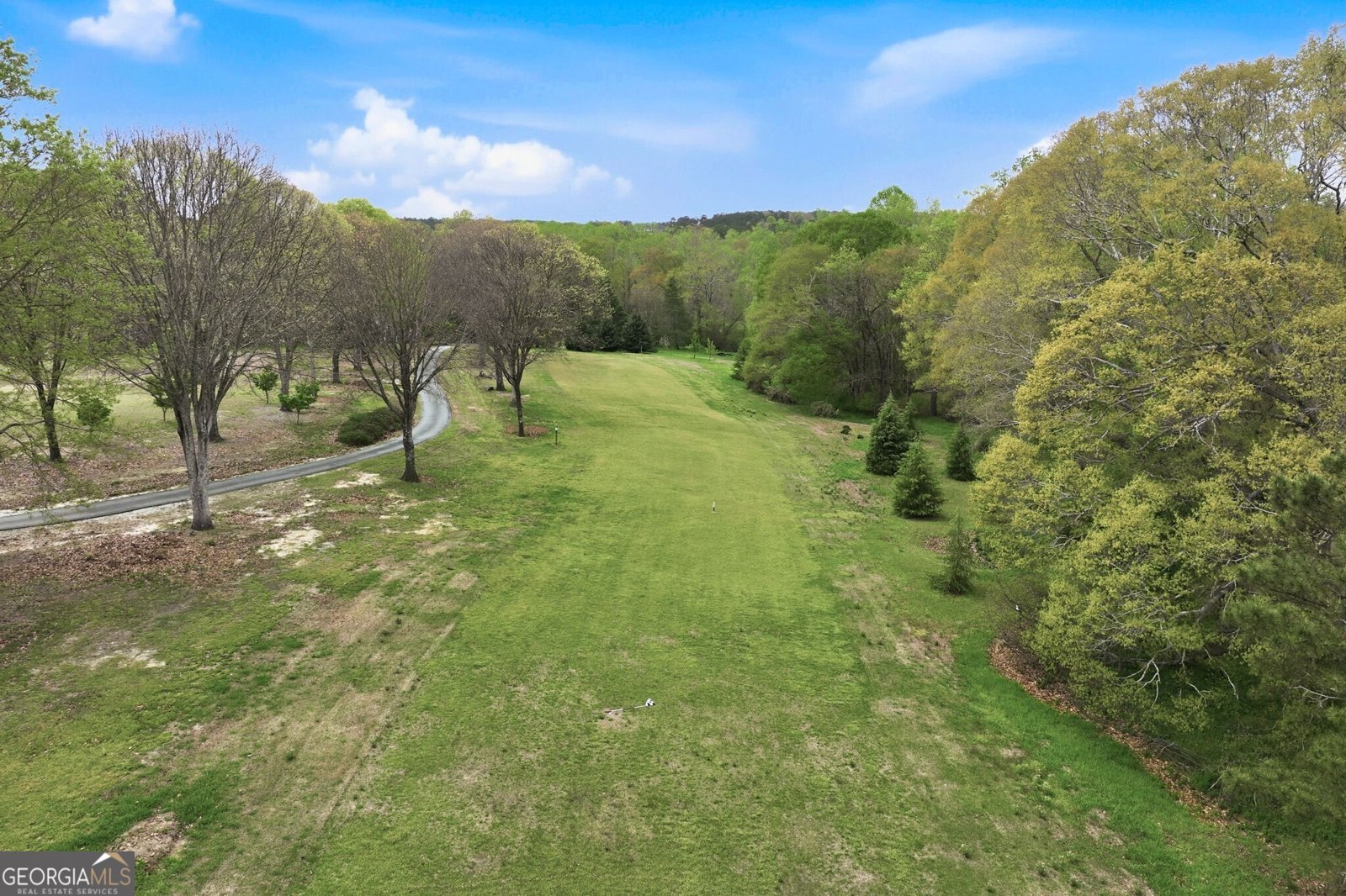 479 Bill Watkins Road Hoschton - Photo 63