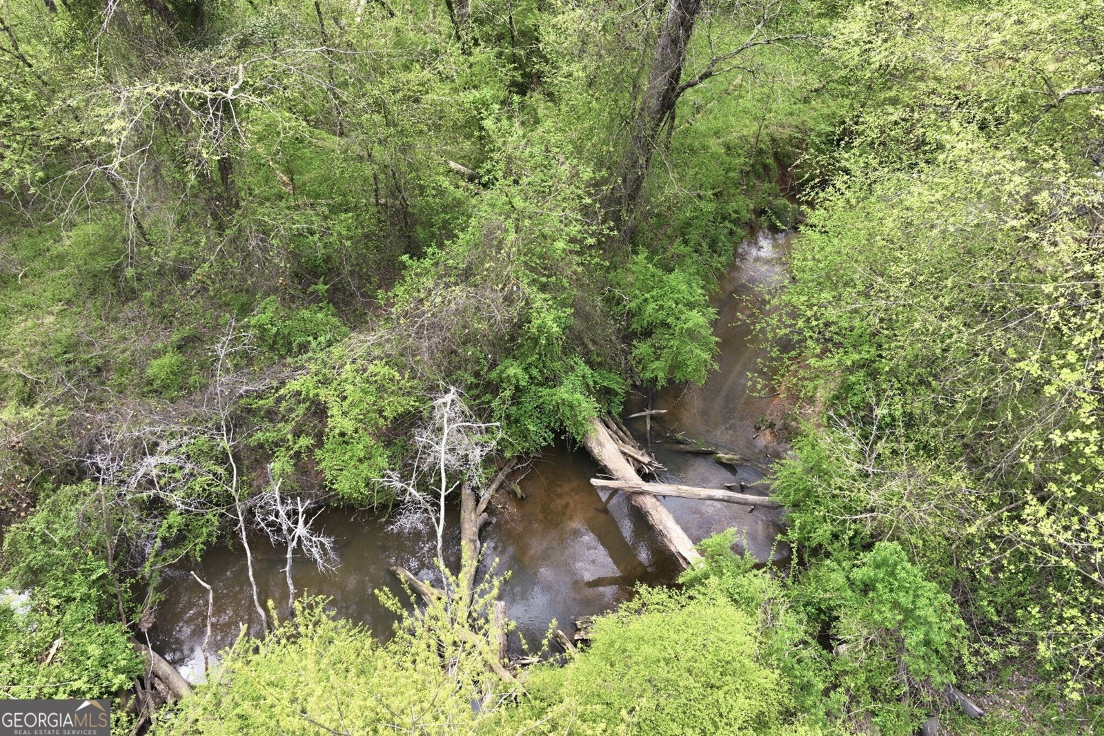 479 Bill Watkins Road Hoschton - Photo 74