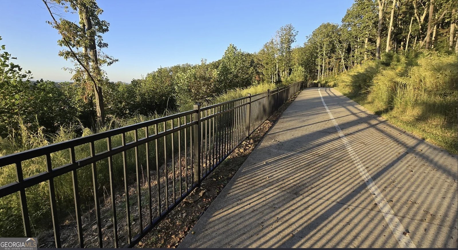 2850 Canter Meadow Drive Cumming - Photo 46