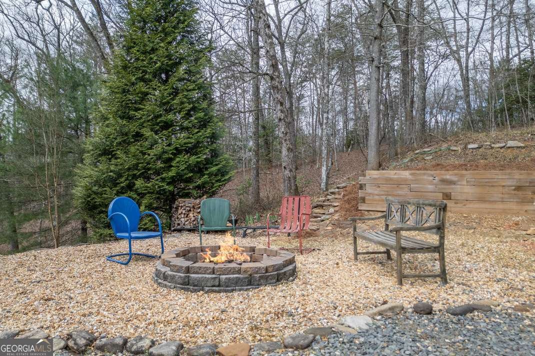 1204 Brookhaven Lane Blue Ridge - Photo 28