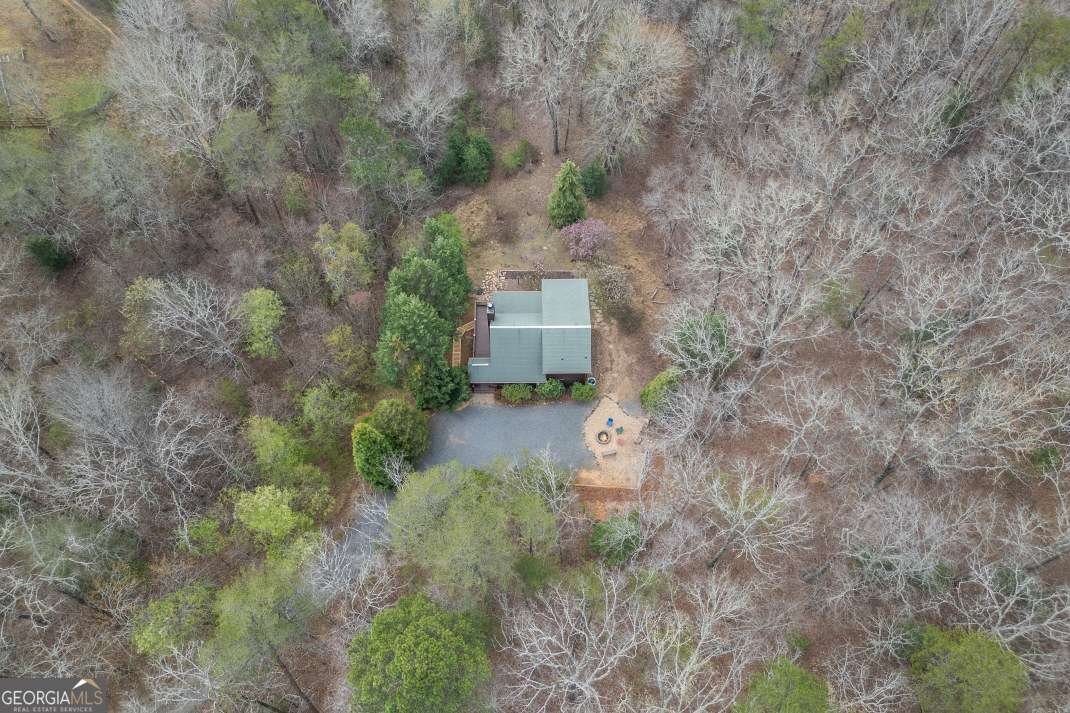 1204 Brookhaven Lane Blue Ridge - Photo 36