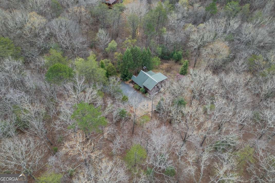 1204 Brookhaven Lane Blue Ridge - Photo 37