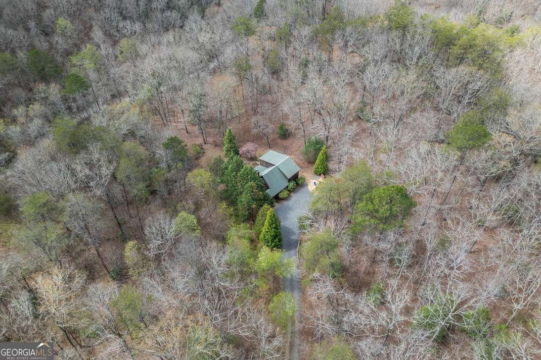 1204 Brookhaven Lane Blue Ridge - Photo 38