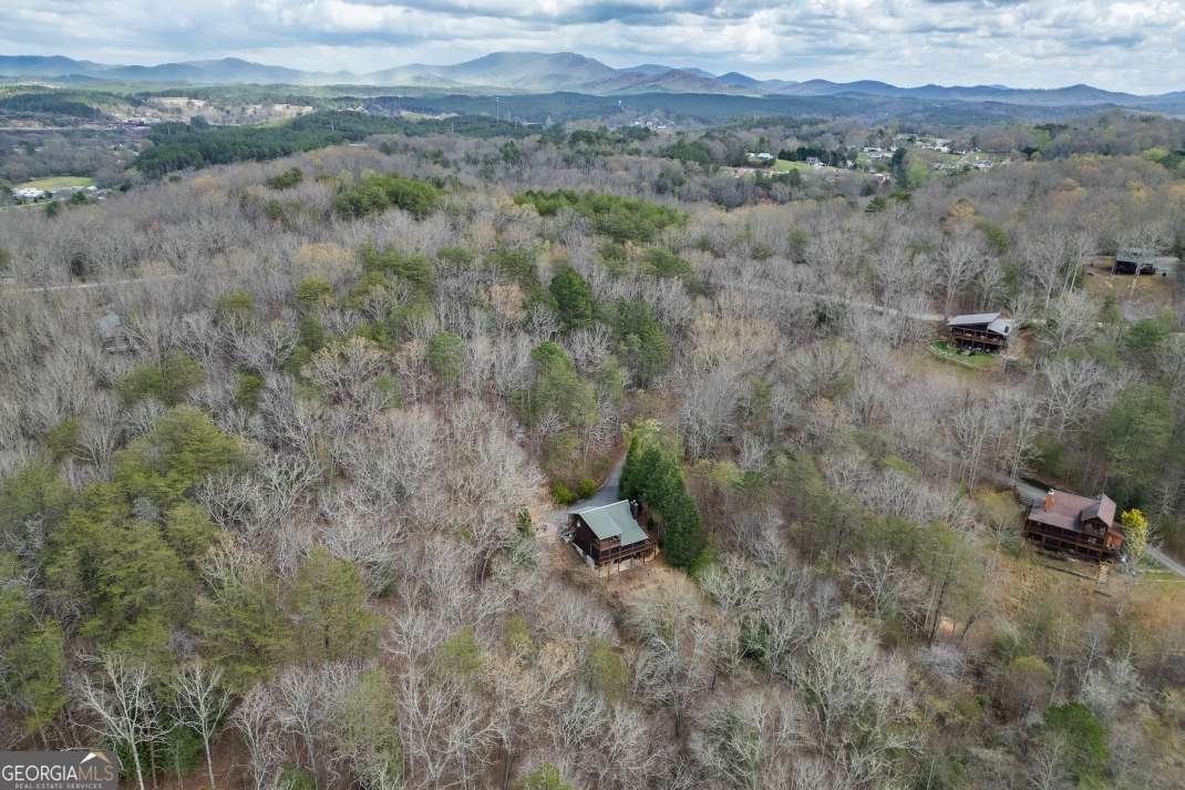 1204 Brookhaven Lane Blue Ridge - Photo 39