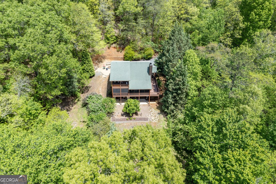 1204 Brookhaven Lane Blue Ridge - Photo 40