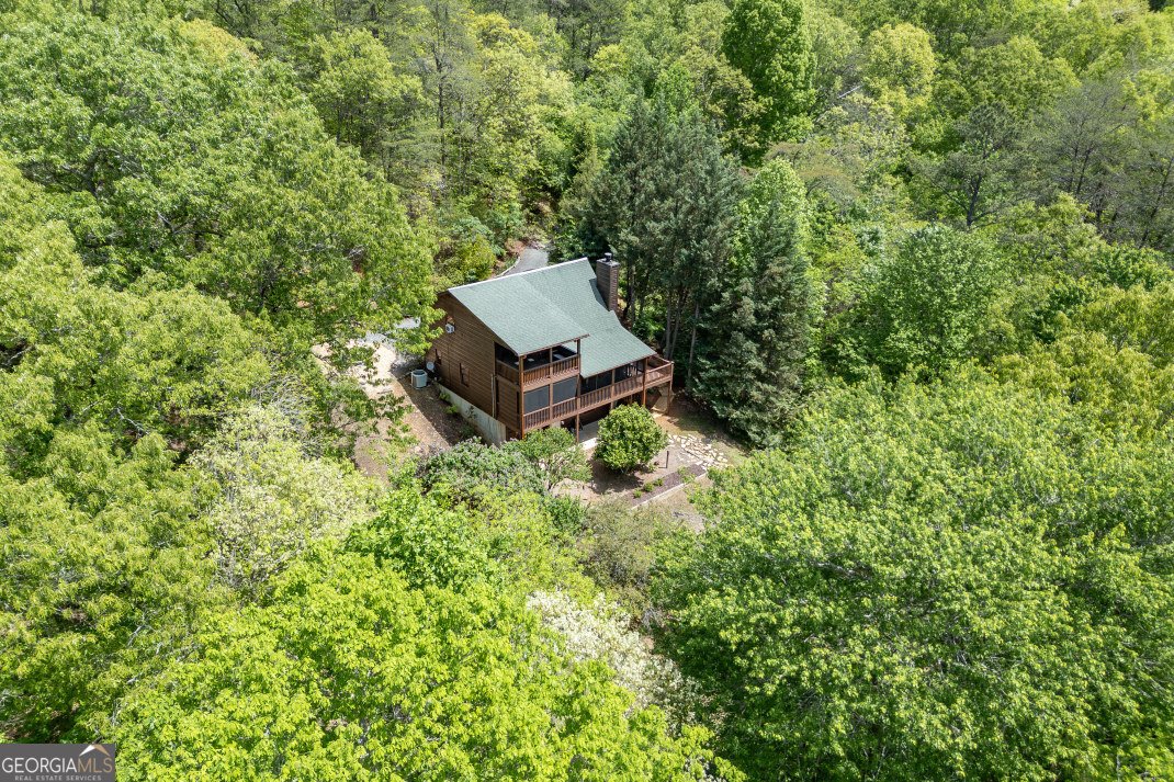 1204 Brookhaven Lane Blue Ridge - Photo 41