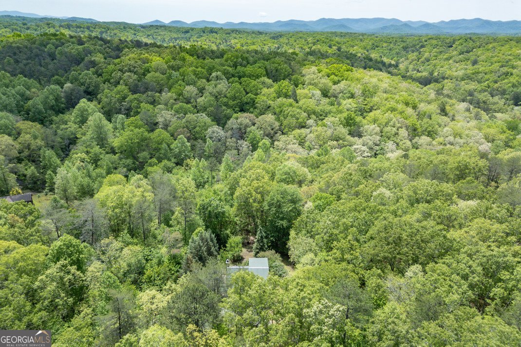 1204 Brookhaven Lane Blue Ridge - Photo 42