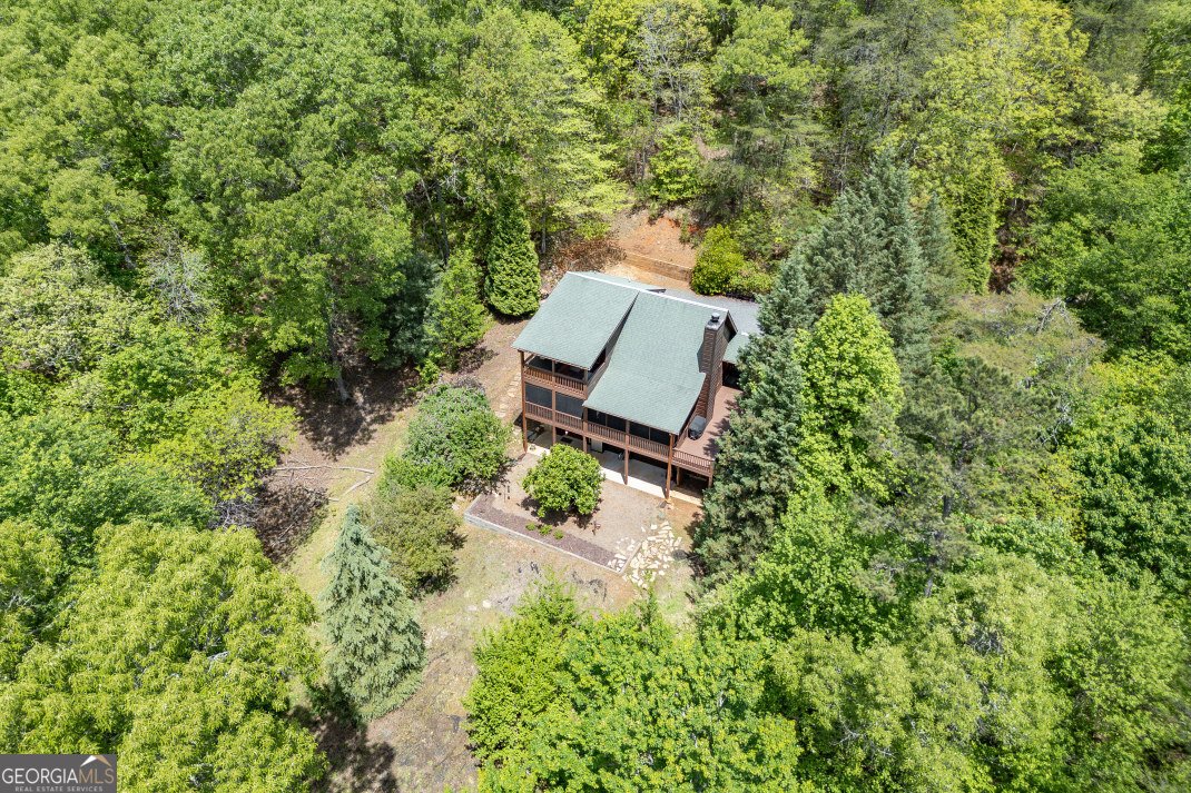 1204 Brookhaven Lane Blue Ridge - Photo 43