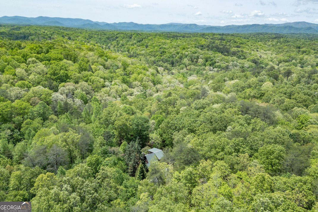 1204 Brookhaven Lane Blue Ridge - Photo 44