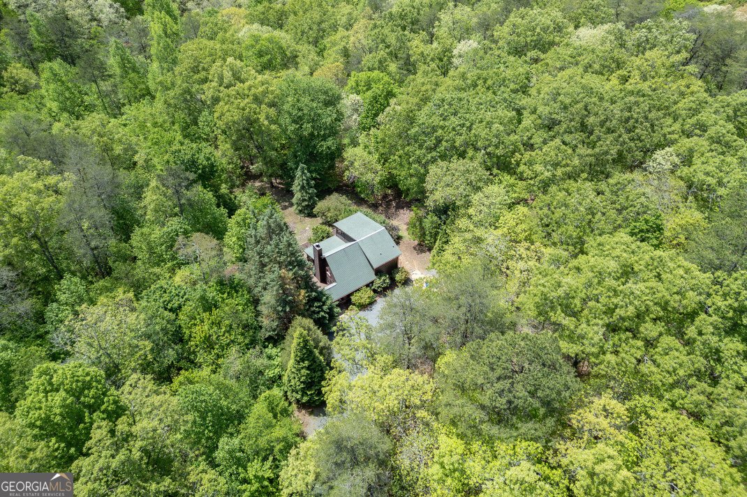 1204 Brookhaven Lane Blue Ridge - Photo 45