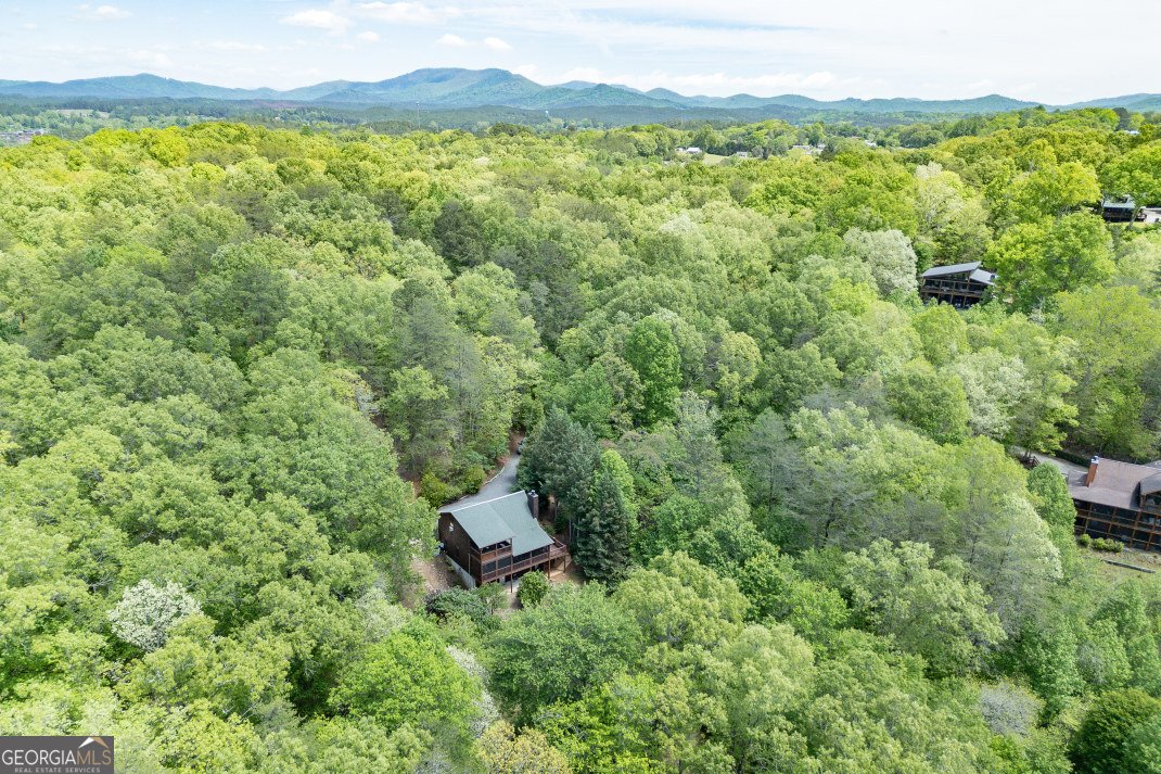 1204 Brookhaven Lane Blue Ridge - Photo 46