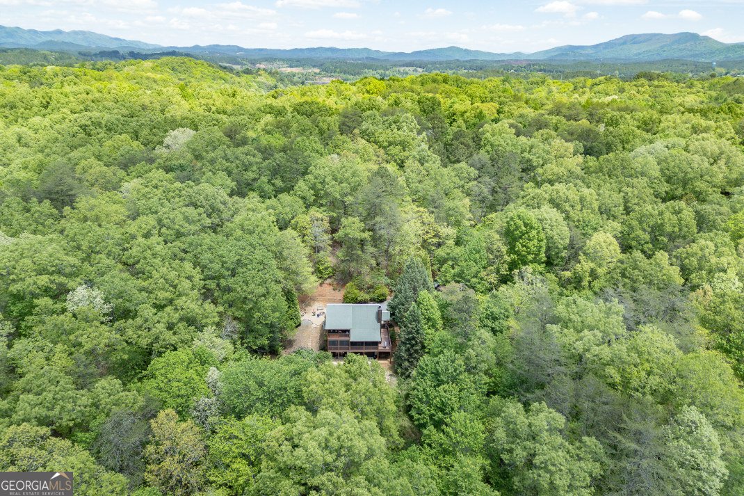 1204 Brookhaven Lane Blue Ridge - Photo 47