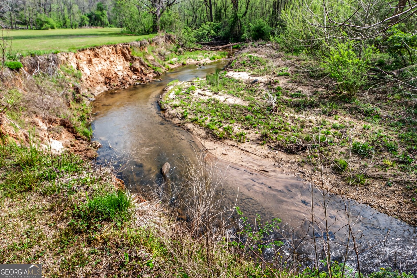 1071 Louden Ridge Road Alto - Photo 60