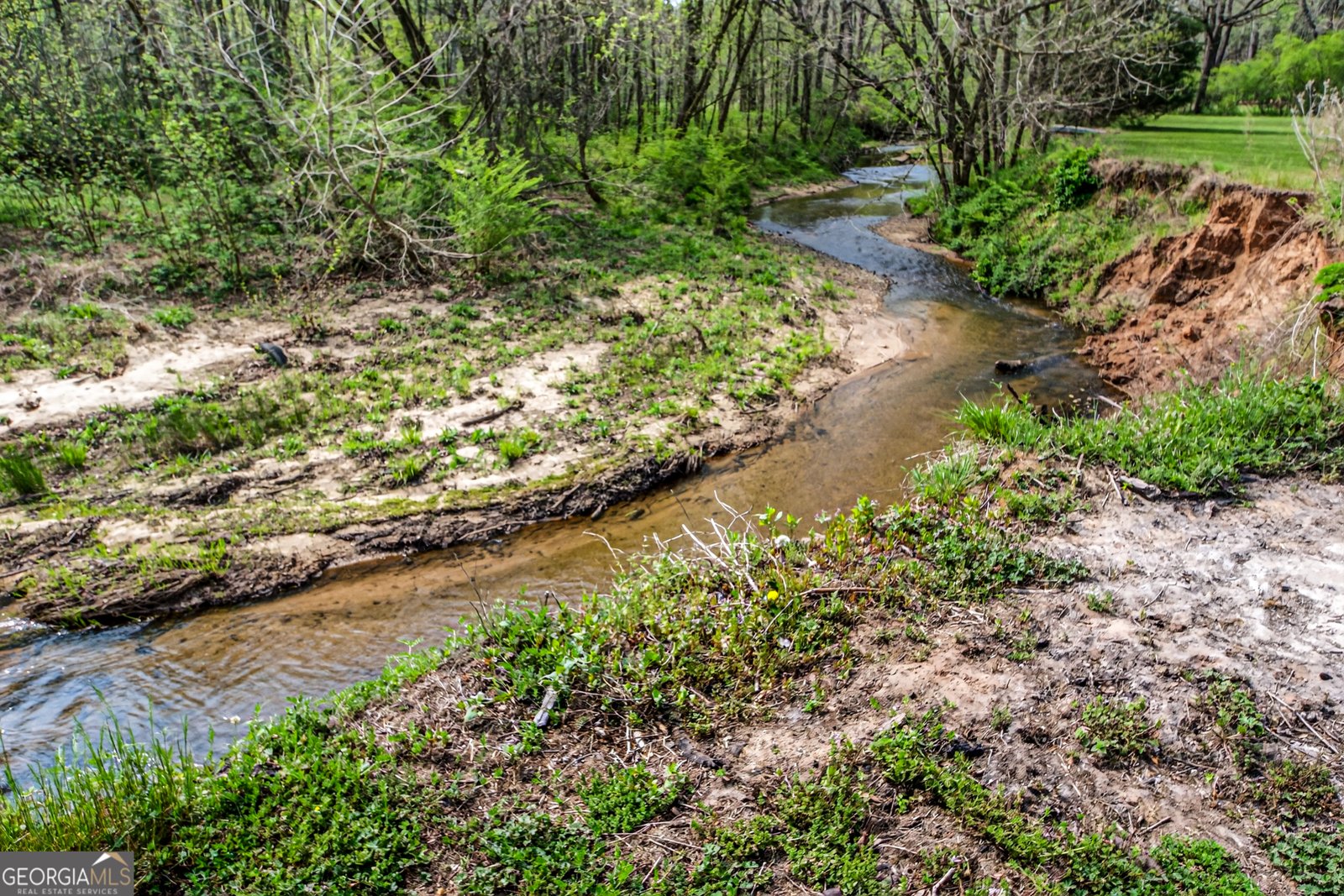 1071 Louden Ridge Road Alto - Photo 61