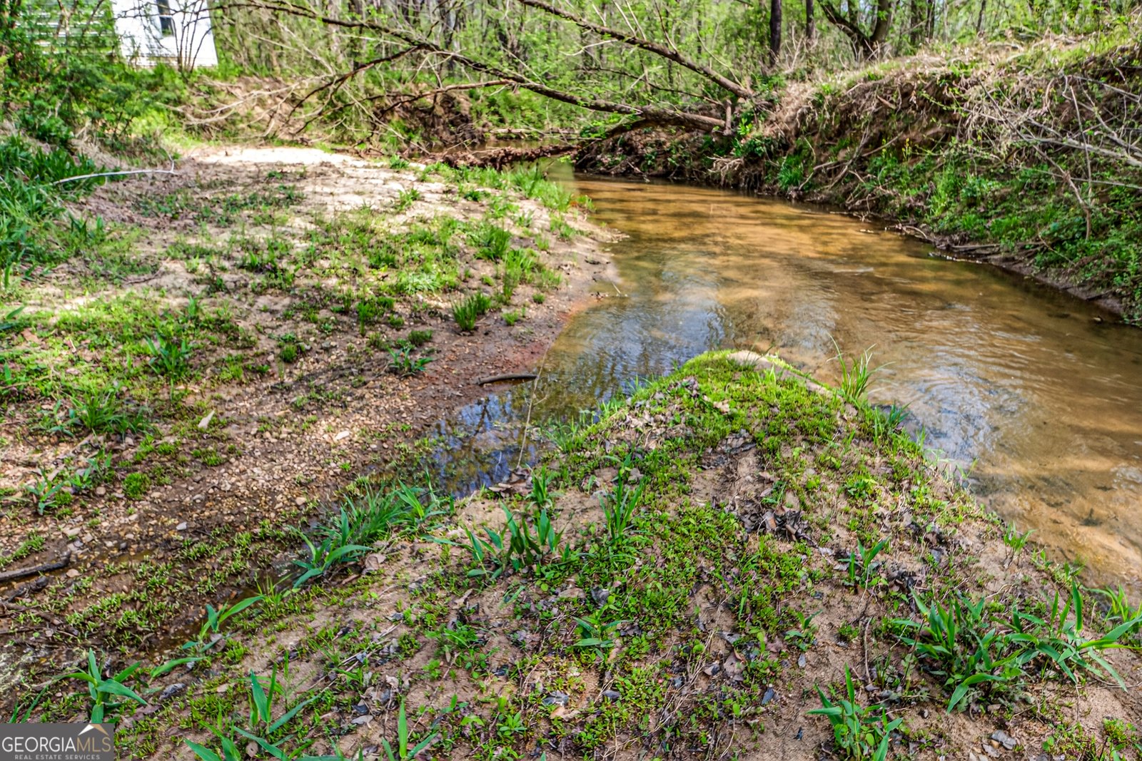 1071 Louden Ridge Road Alto - Photo 62